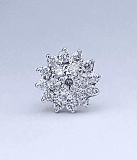 Kodom Diamond Nosepin Design Price In Bangladesh (BD) 2022 - কদম নোজপিনের দাম ডিজাইন